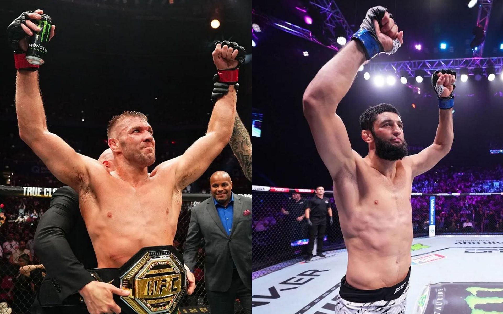 UFC Live